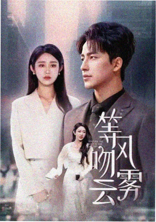 爱奇影视作品图：九十年代老街木色招牌
